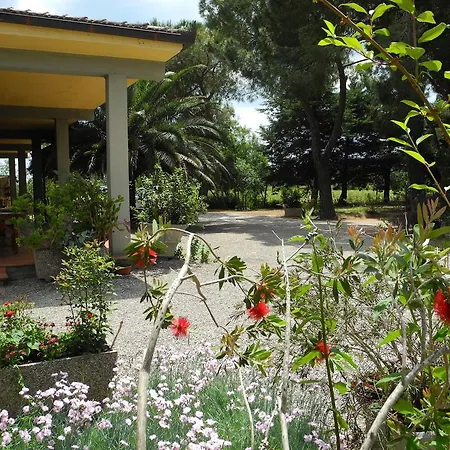 Podere Oslavia Az.Agr.Bio Giannini-3