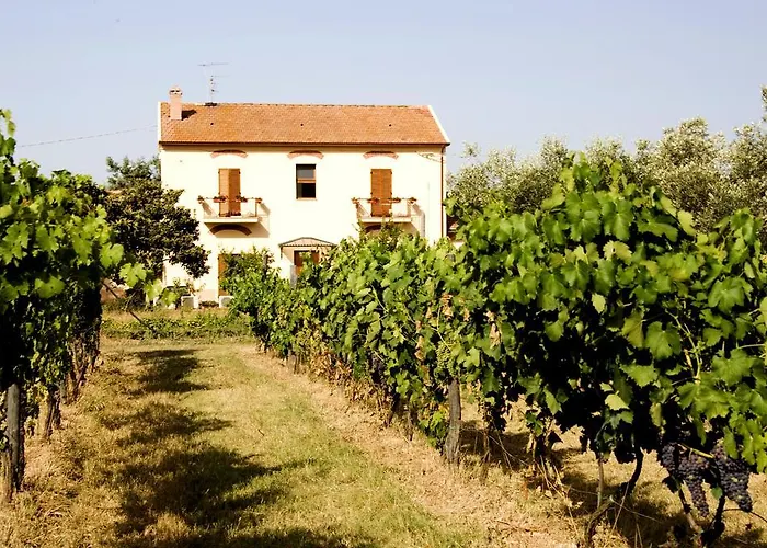 La Pulledraia Del Podere Montegrappa